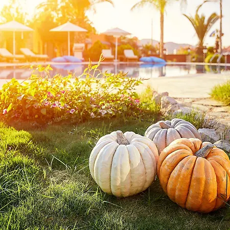 Fi Light Solto Boutique Szálloda Selimiye