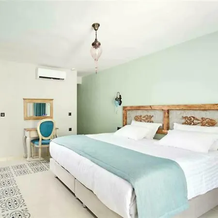 Fi Light Solto Boutique