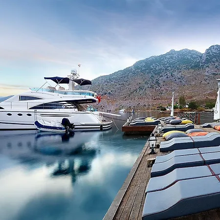 Fi Light Solto Boutique