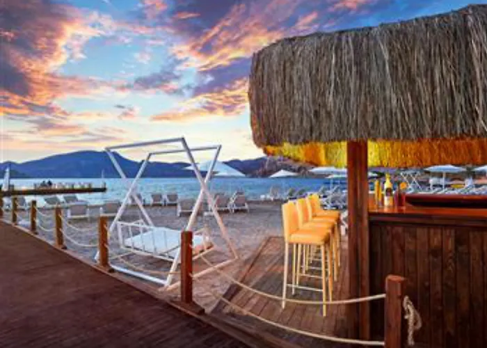 Fi Light Solto Boutique