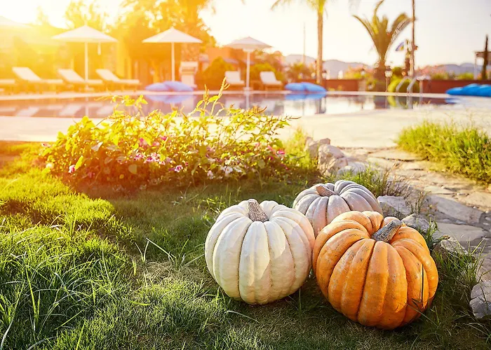 Fi Light Solto Boutique Hotel Selimiye (Aegean)