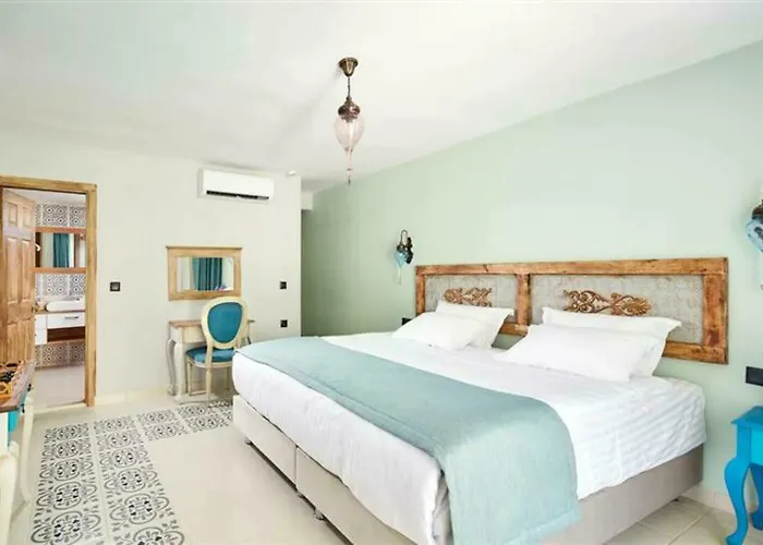 Fi Light Solto Boutique