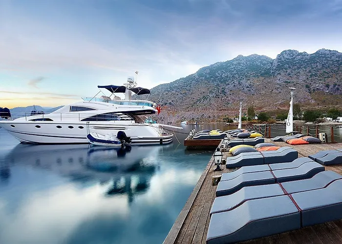 Fi Light Solto Boutique